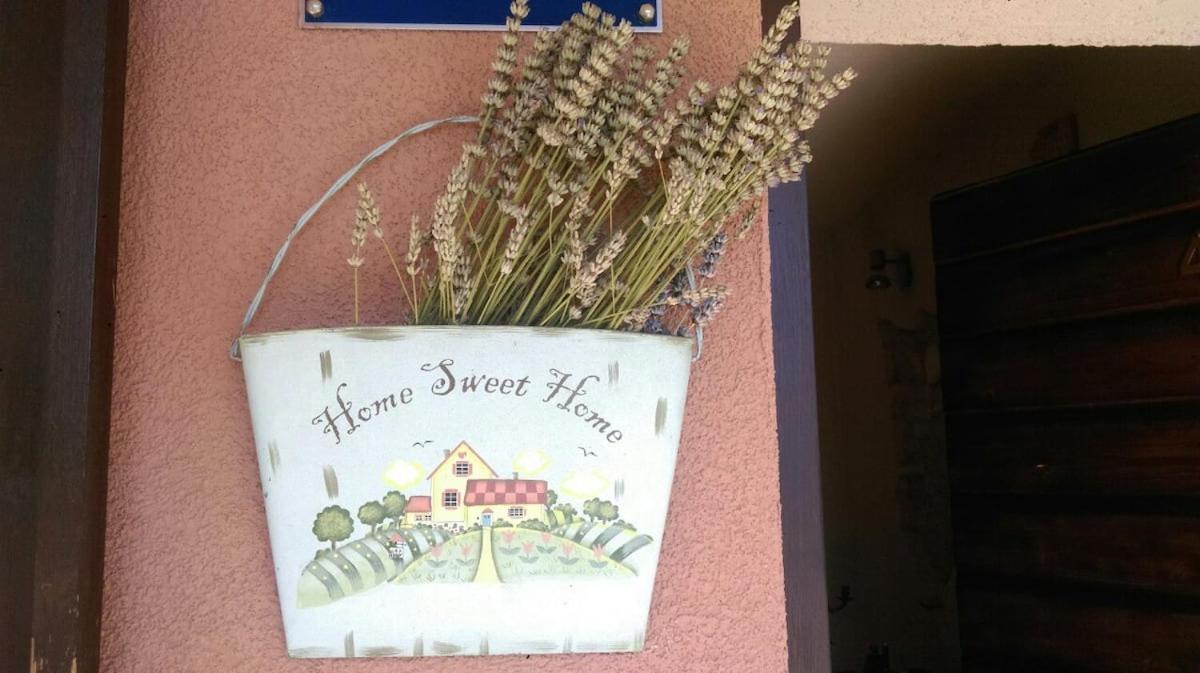 Holiday House Eleonora Barban Exteriér fotografie